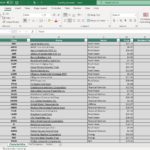 Excel File