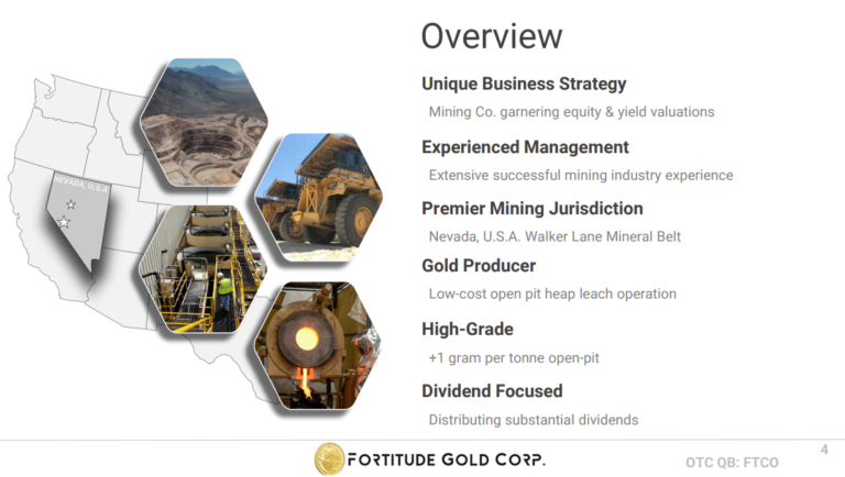 Fortitude Gold Overview